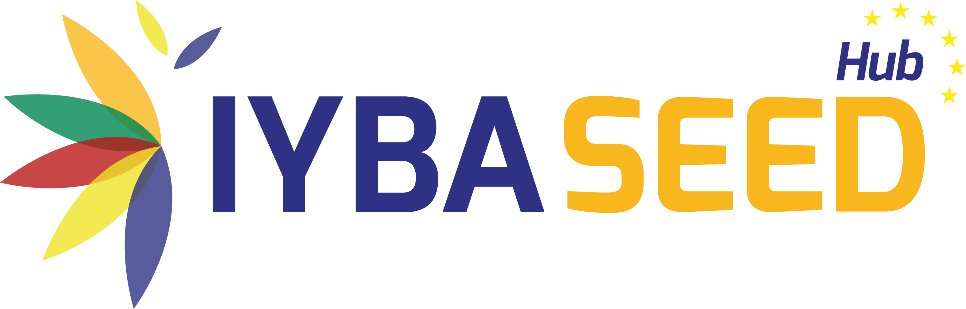 IYBA SEED Hub home page